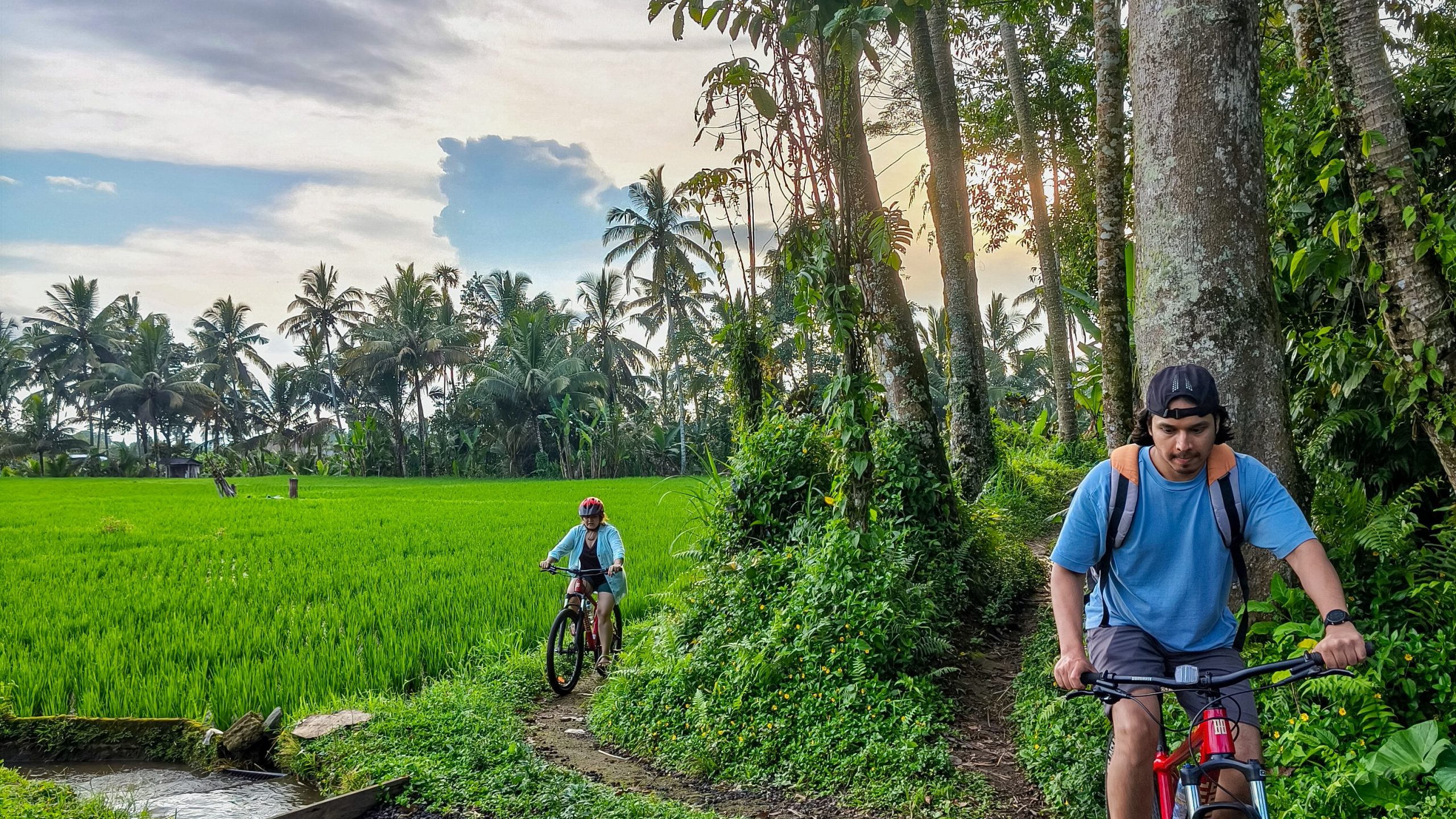 Taro Cycling